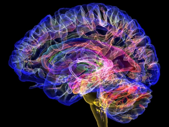 黑丝爆射大脑植入物有助于严重头部损伤恢复